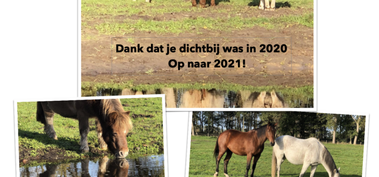 Op naar 2021