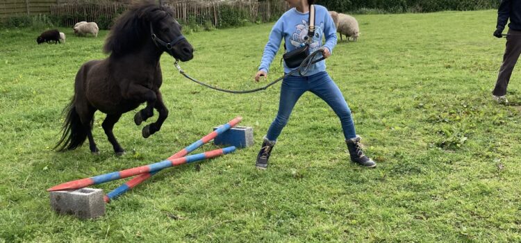 Blijven trainen